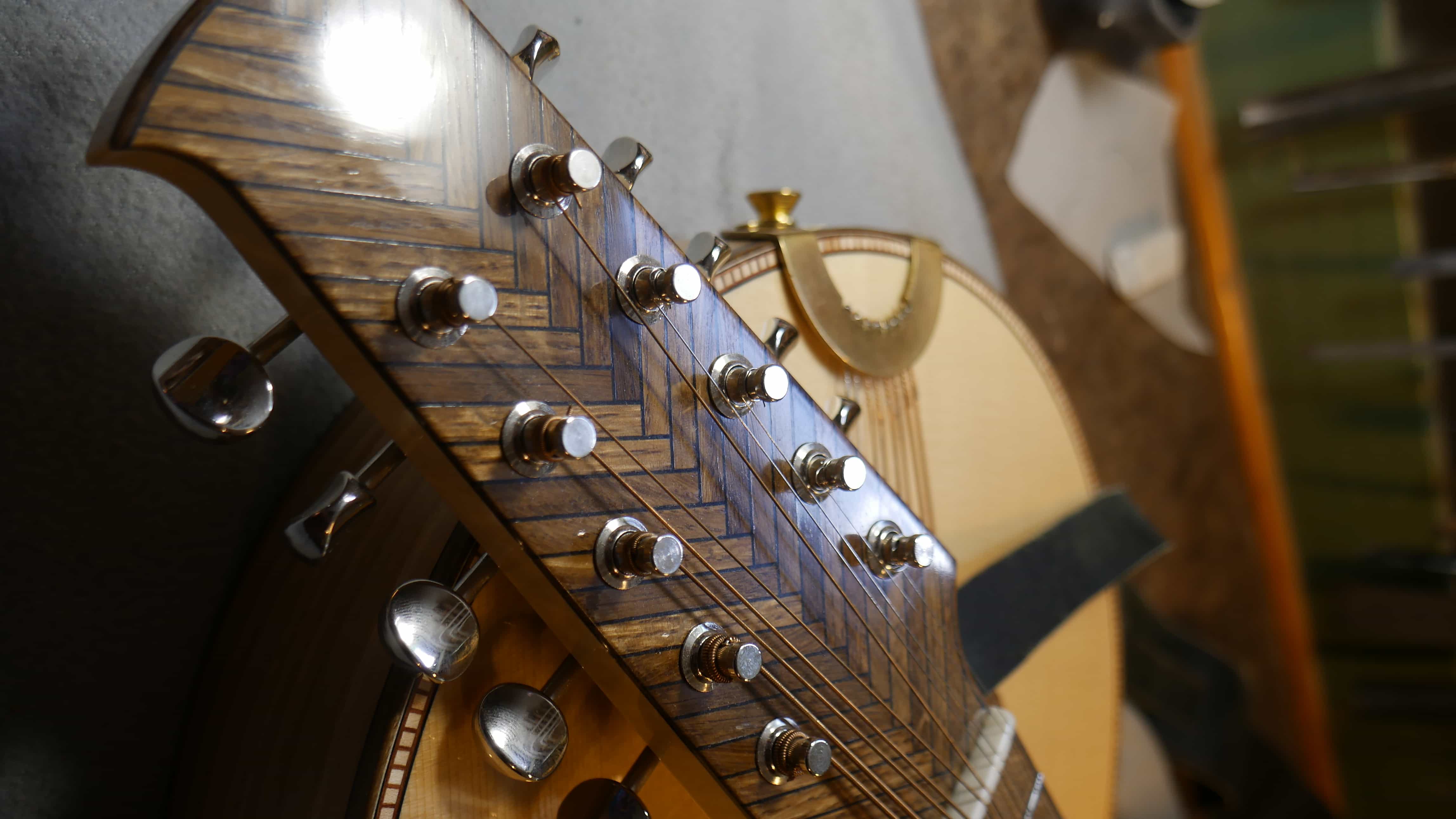 Double Stringed Instruments JelInstruments