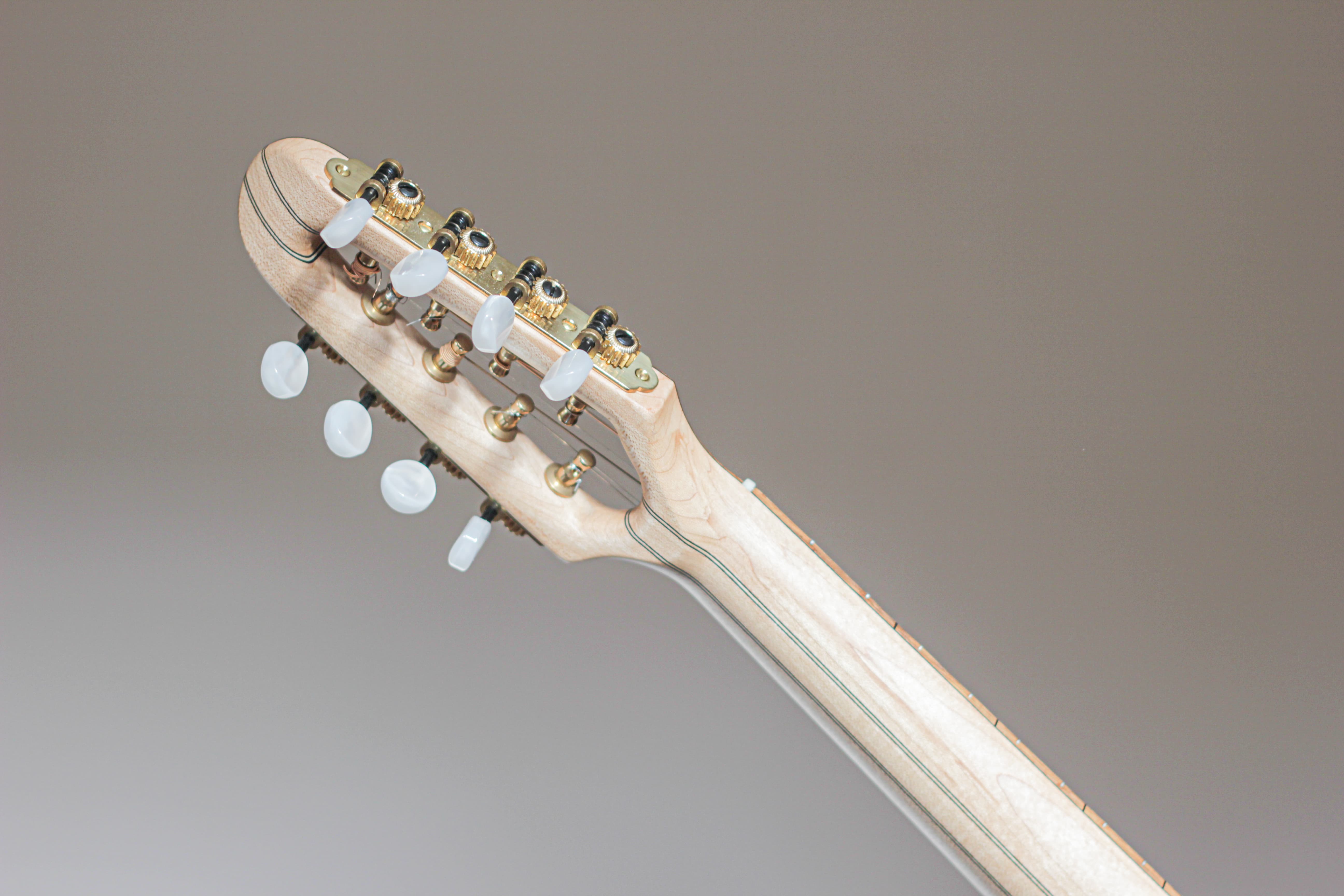 Double Stringed Instruments JelInstruments