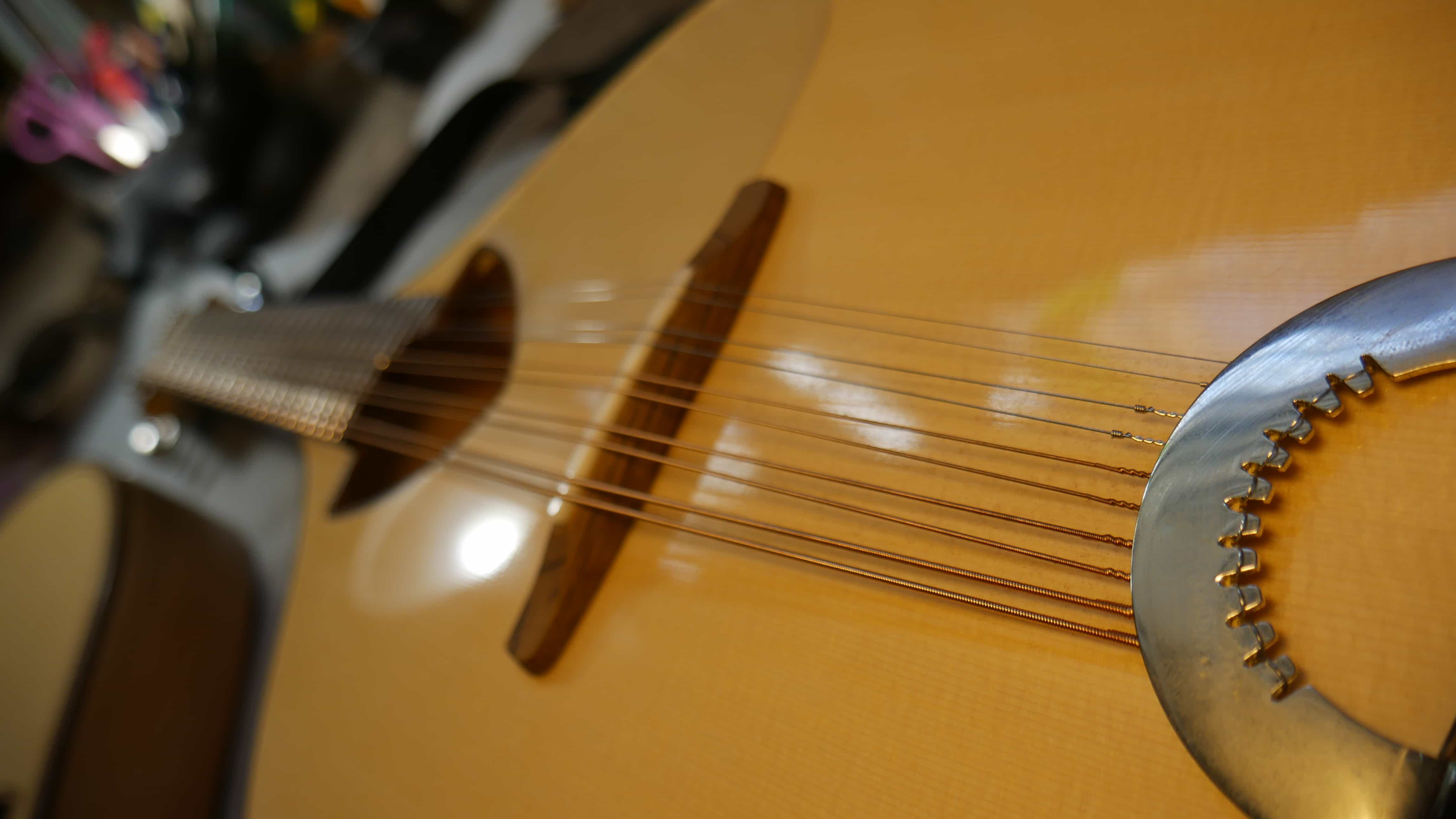 Double Stringed Instruments JelInstruments