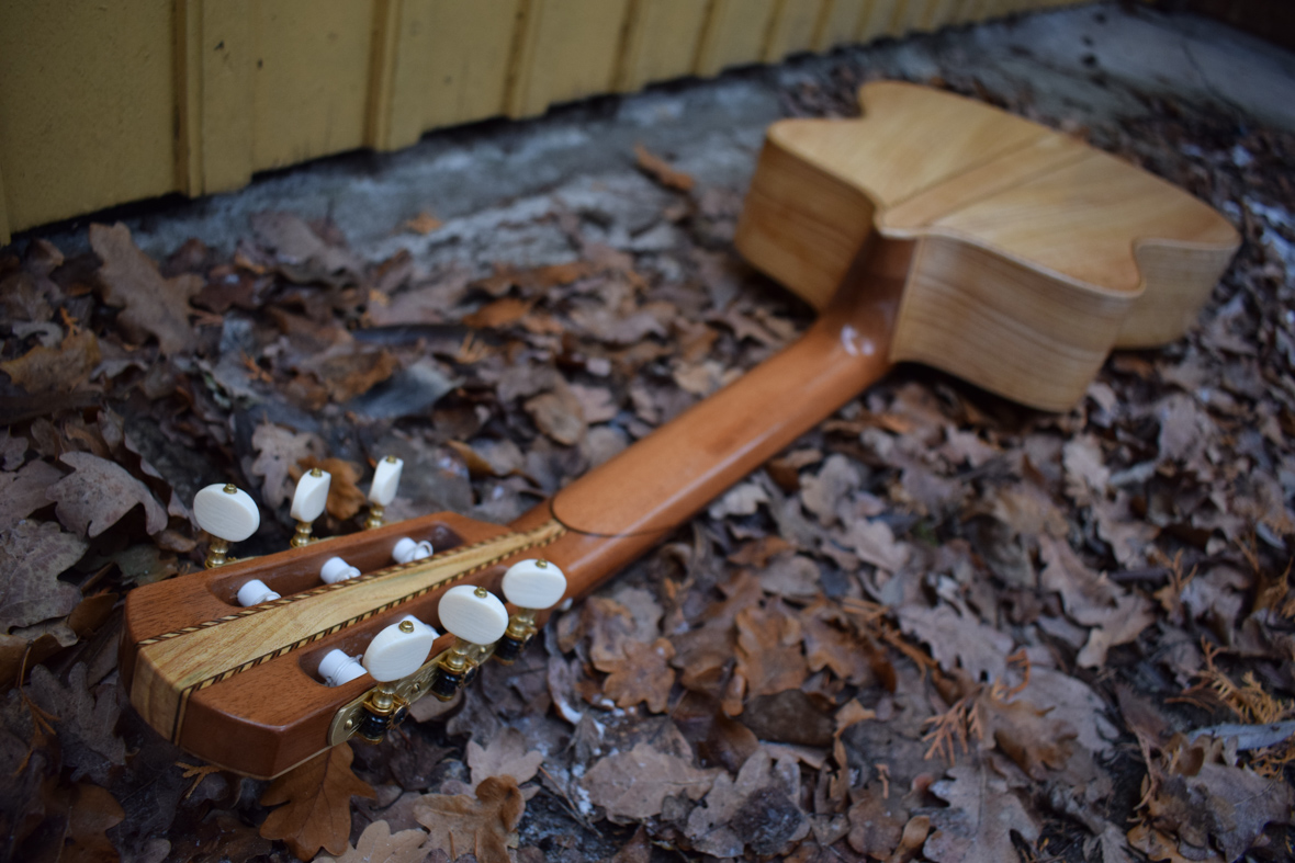 Nylon-stringed Instruments | JelInstruments